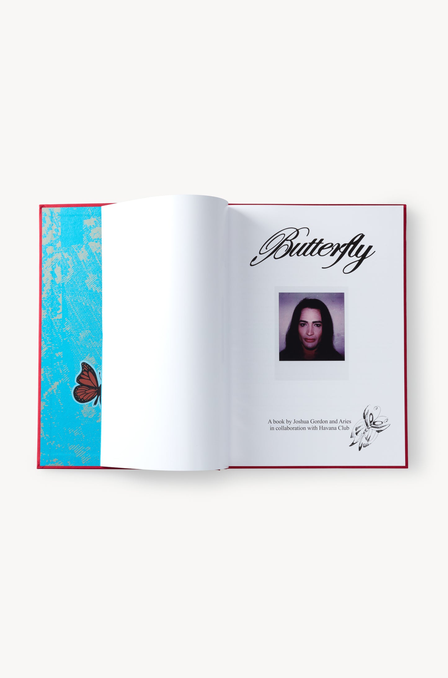 Butterfly Book