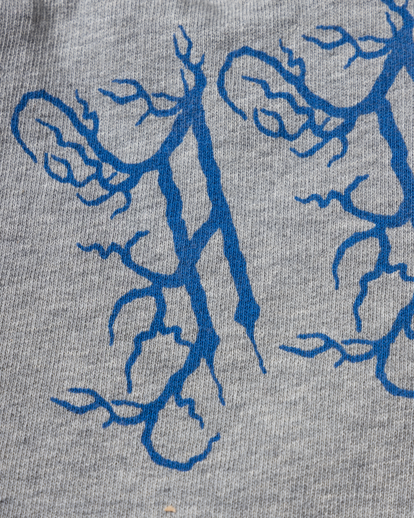 Adoro Aries Booty Shorts