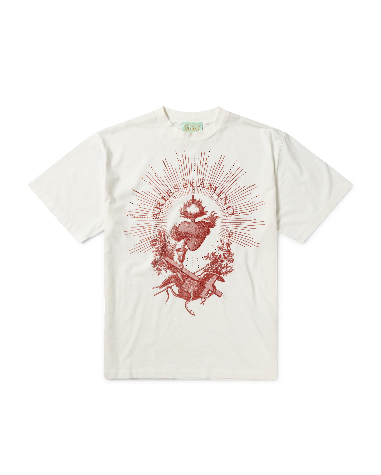 Faded Aries Ex Amino SS Tee