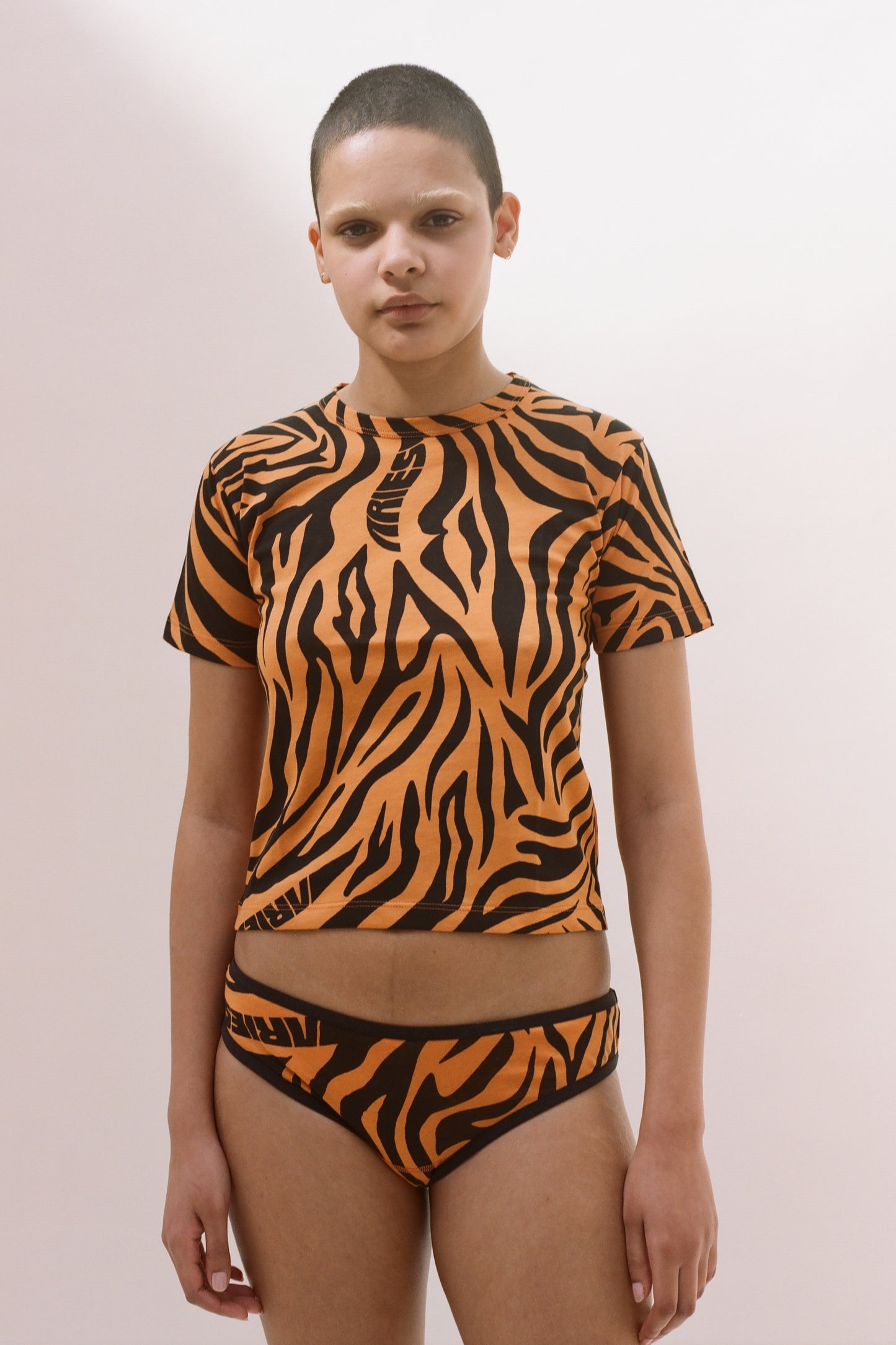 Zebra Briefs