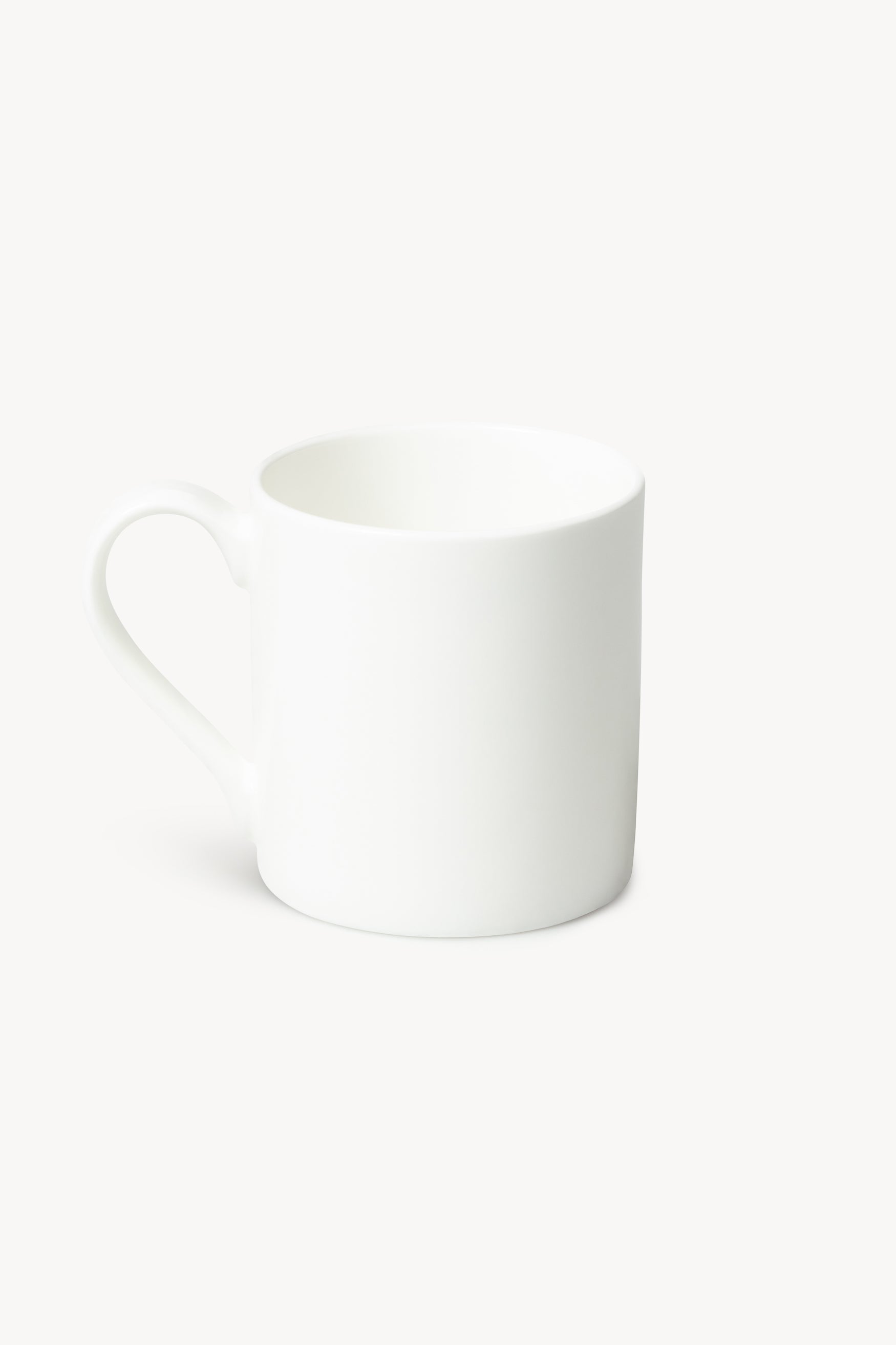 Load image into Gallery viewer, Hardcore Fly Mug