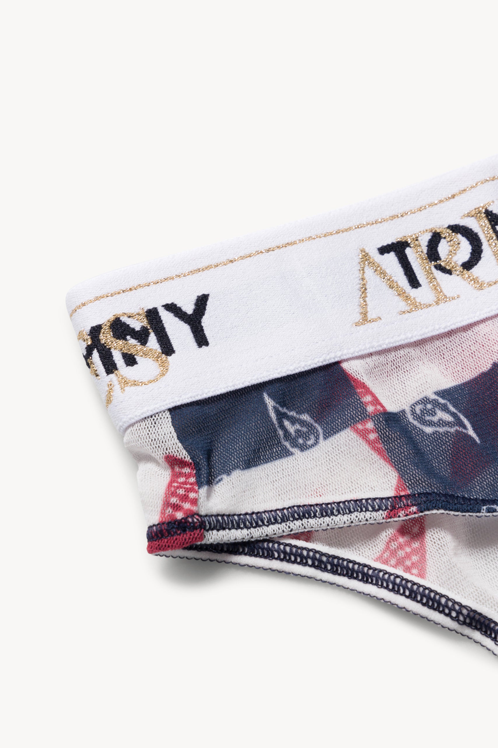 Load image into Gallery viewer, Tommy x Aries Bandana Sheer Mid Rise Briefs