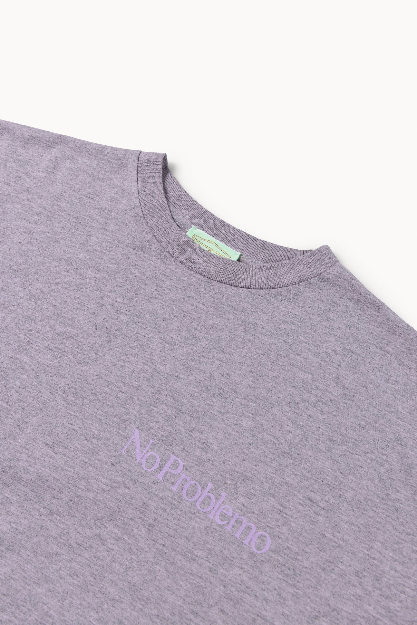 Load image into Gallery viewer, Overdyed Melange Mini Problemo SS Tee