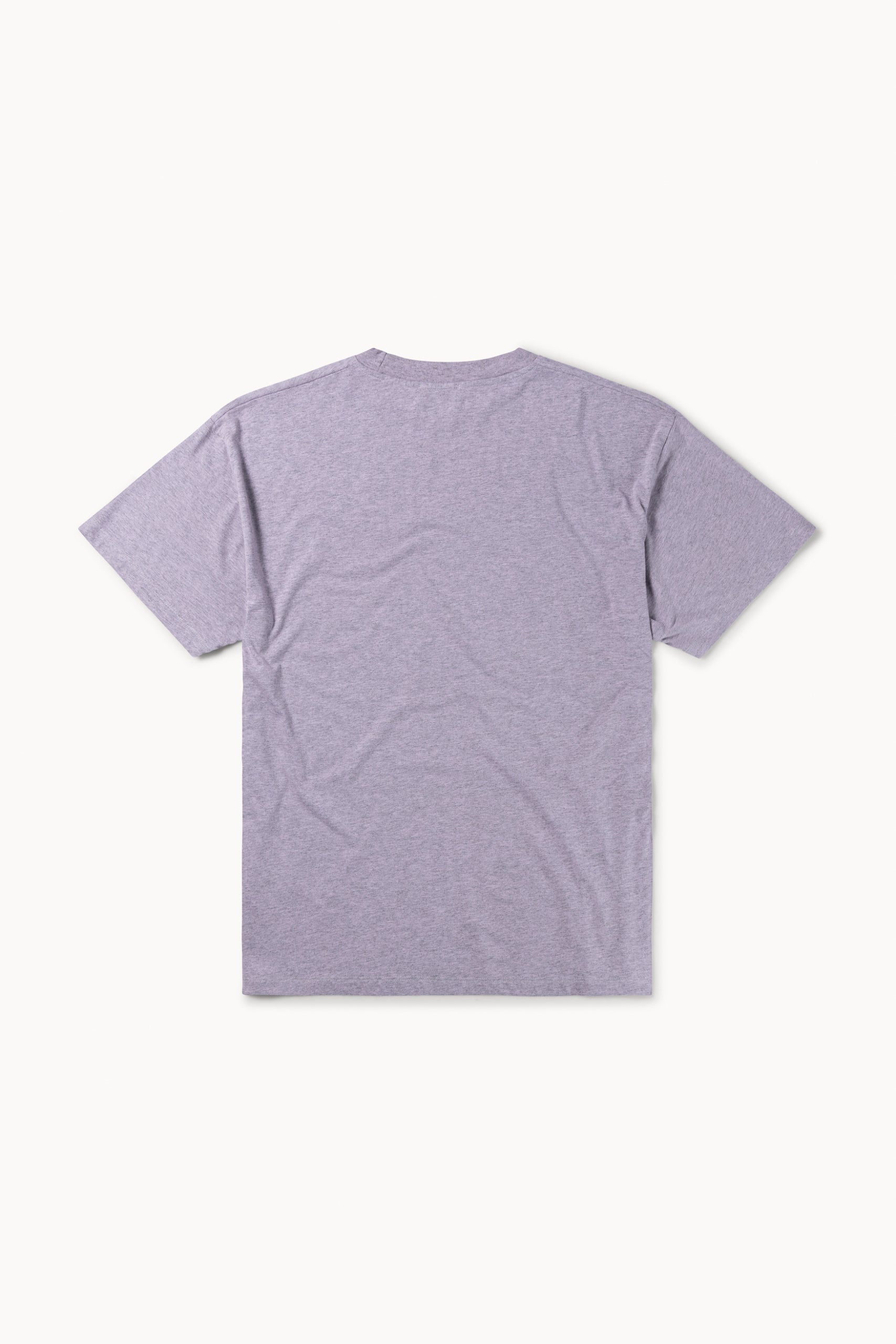 Load image into Gallery viewer, Overdyed Melange Mini Problemo SS Tee