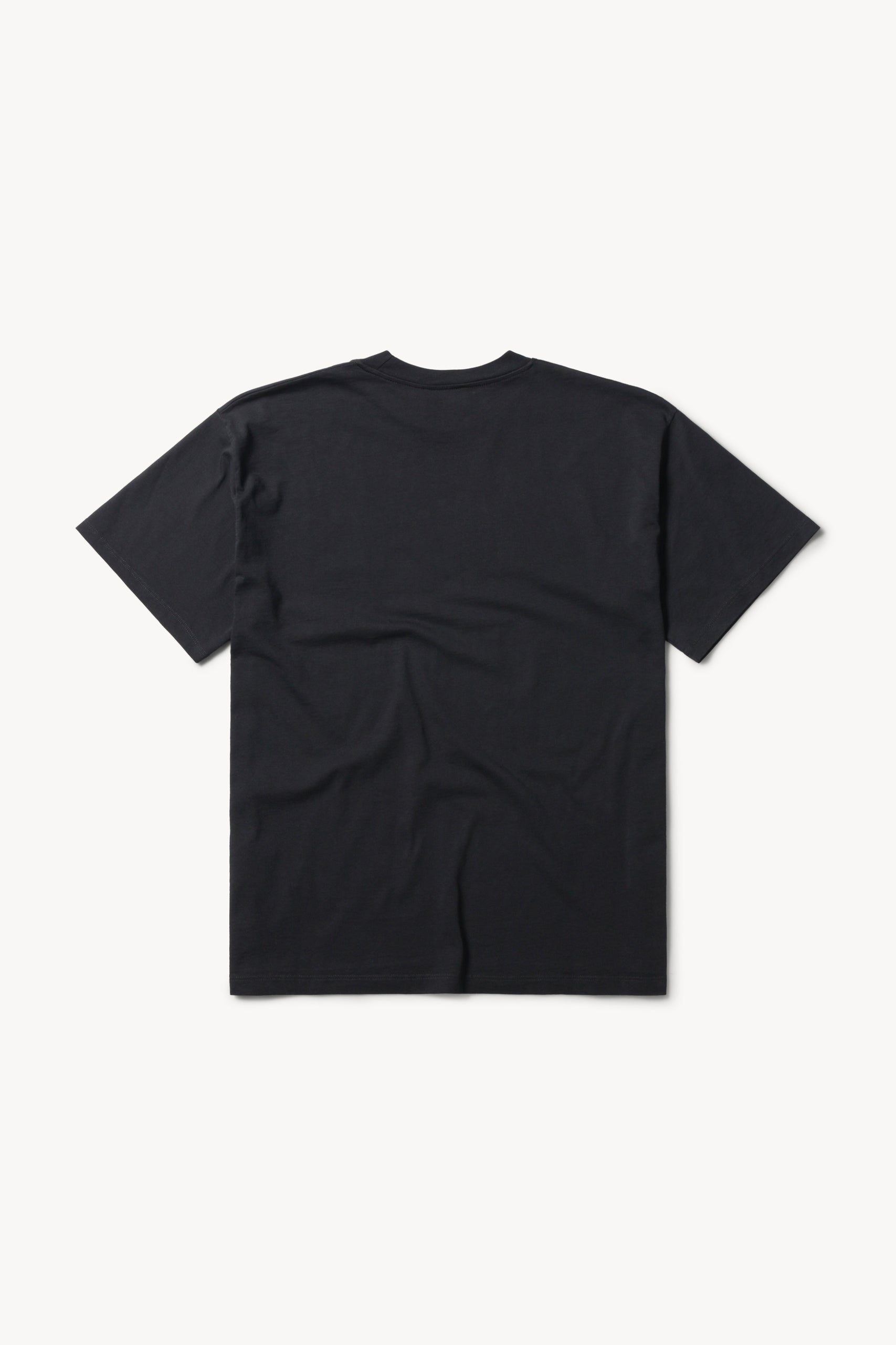 Load image into Gallery viewer, No Problemo Sprayed SS Tee