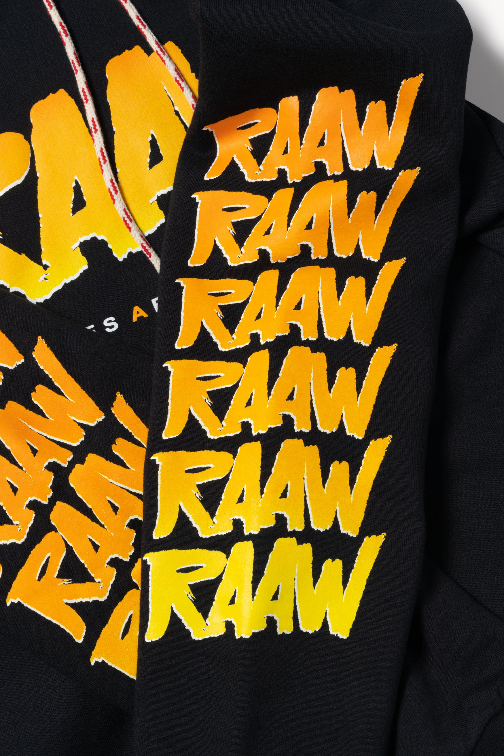 Load image into Gallery viewer, RAAW Hoodie