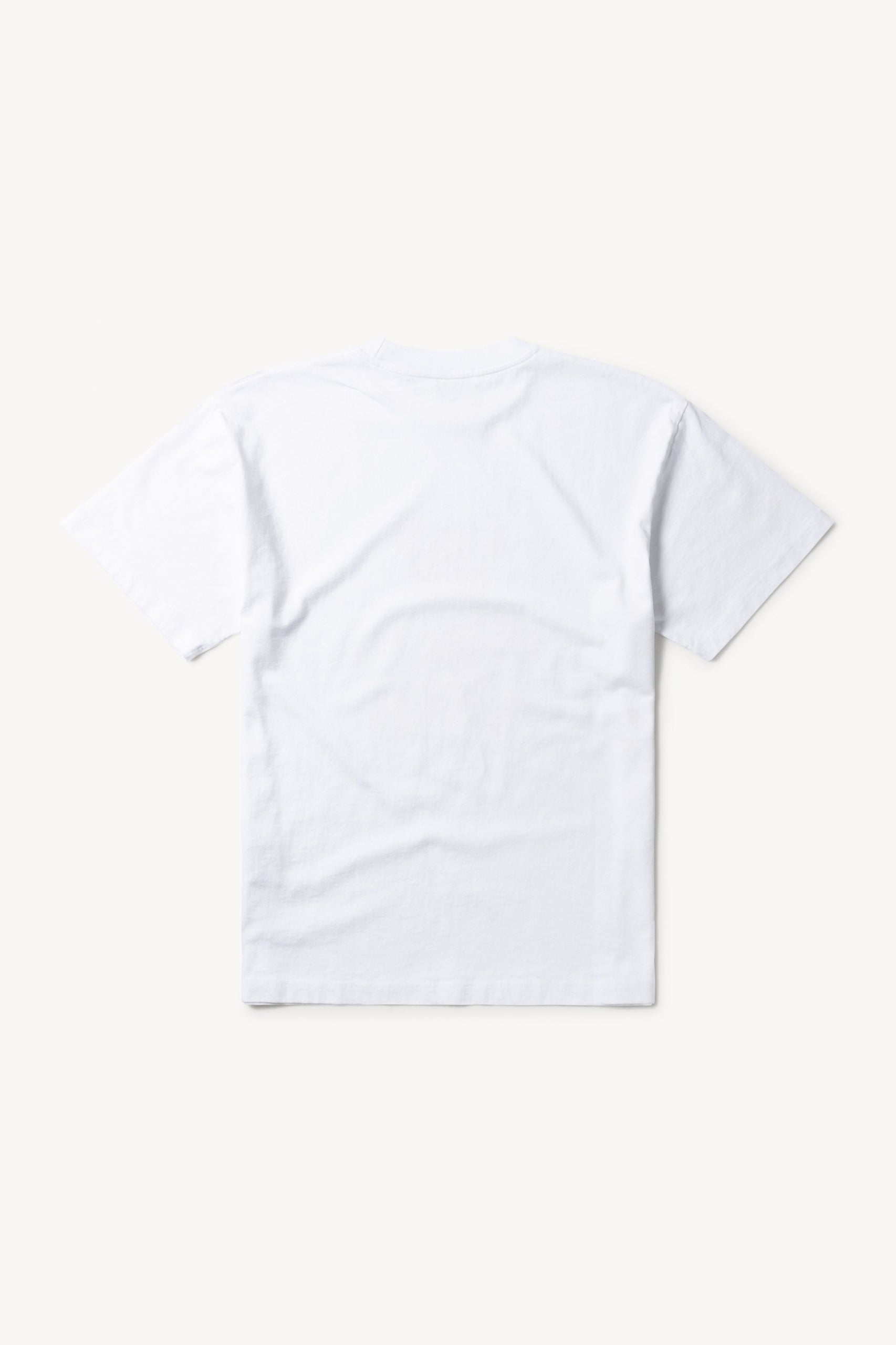 Load image into Gallery viewer, Taped Teddy SS Tee