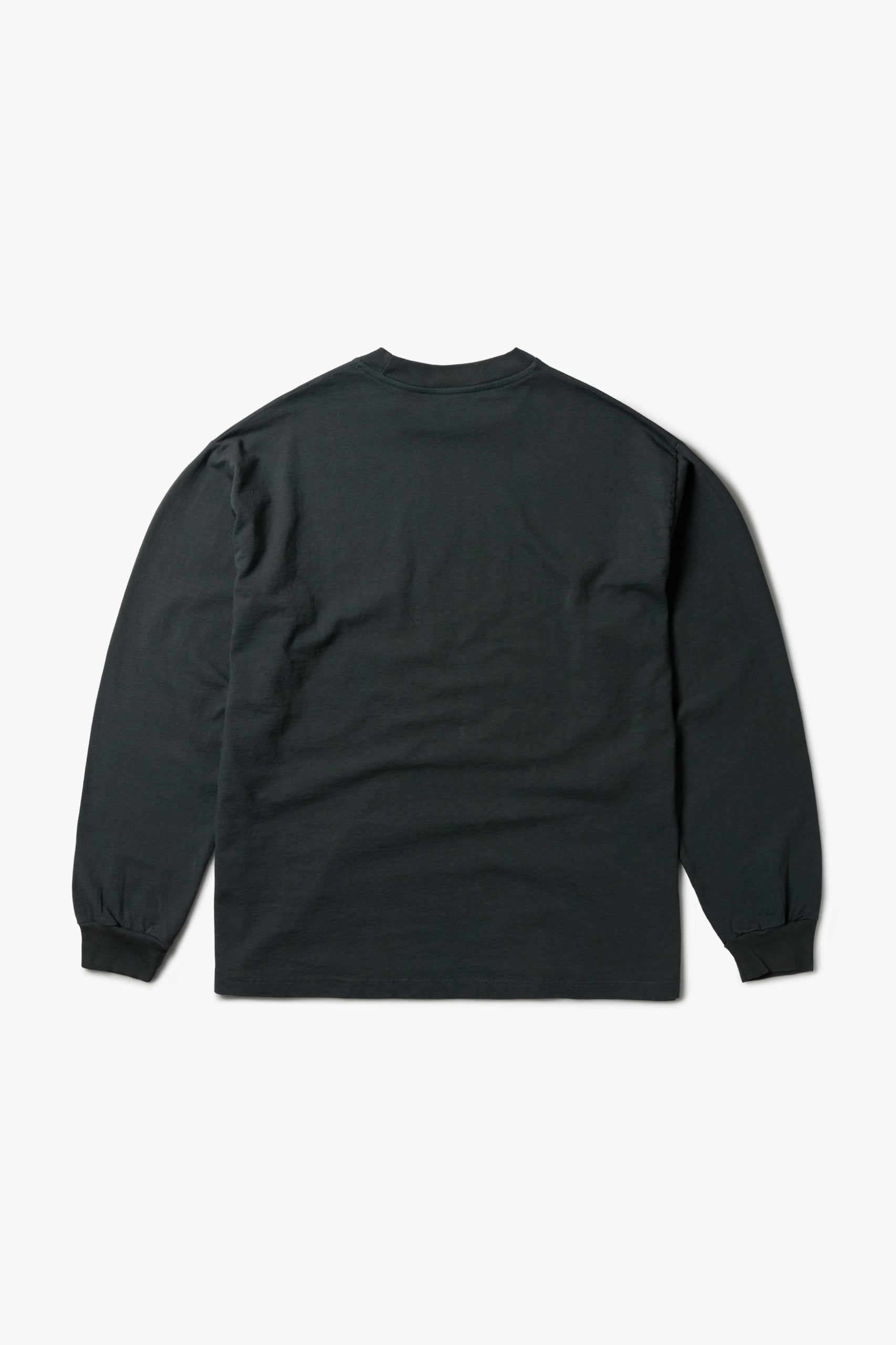Load image into Gallery viewer, Temple LS Tee