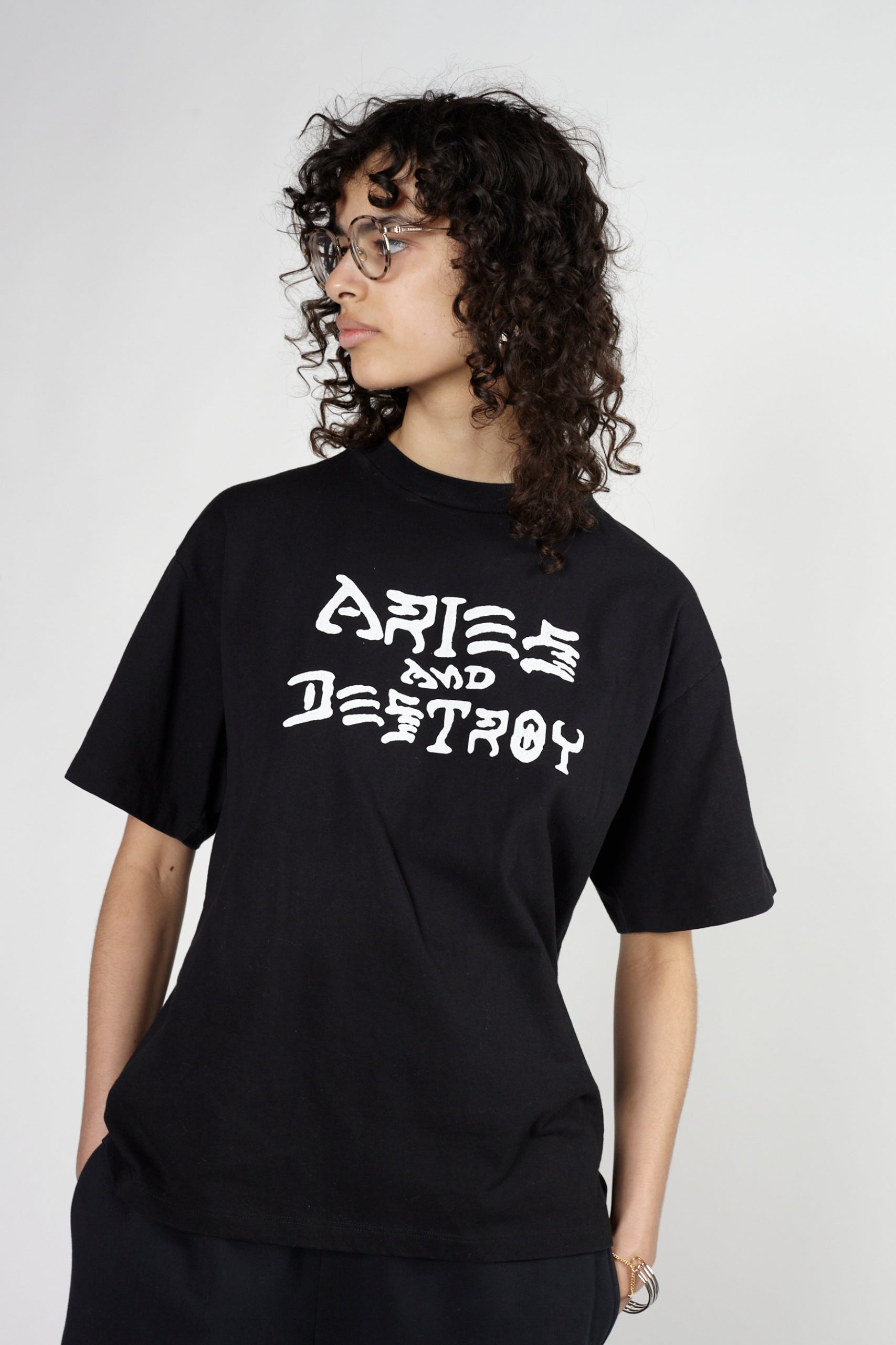 Load image into Gallery viewer, Vintage Aries and Destroy SS Tee