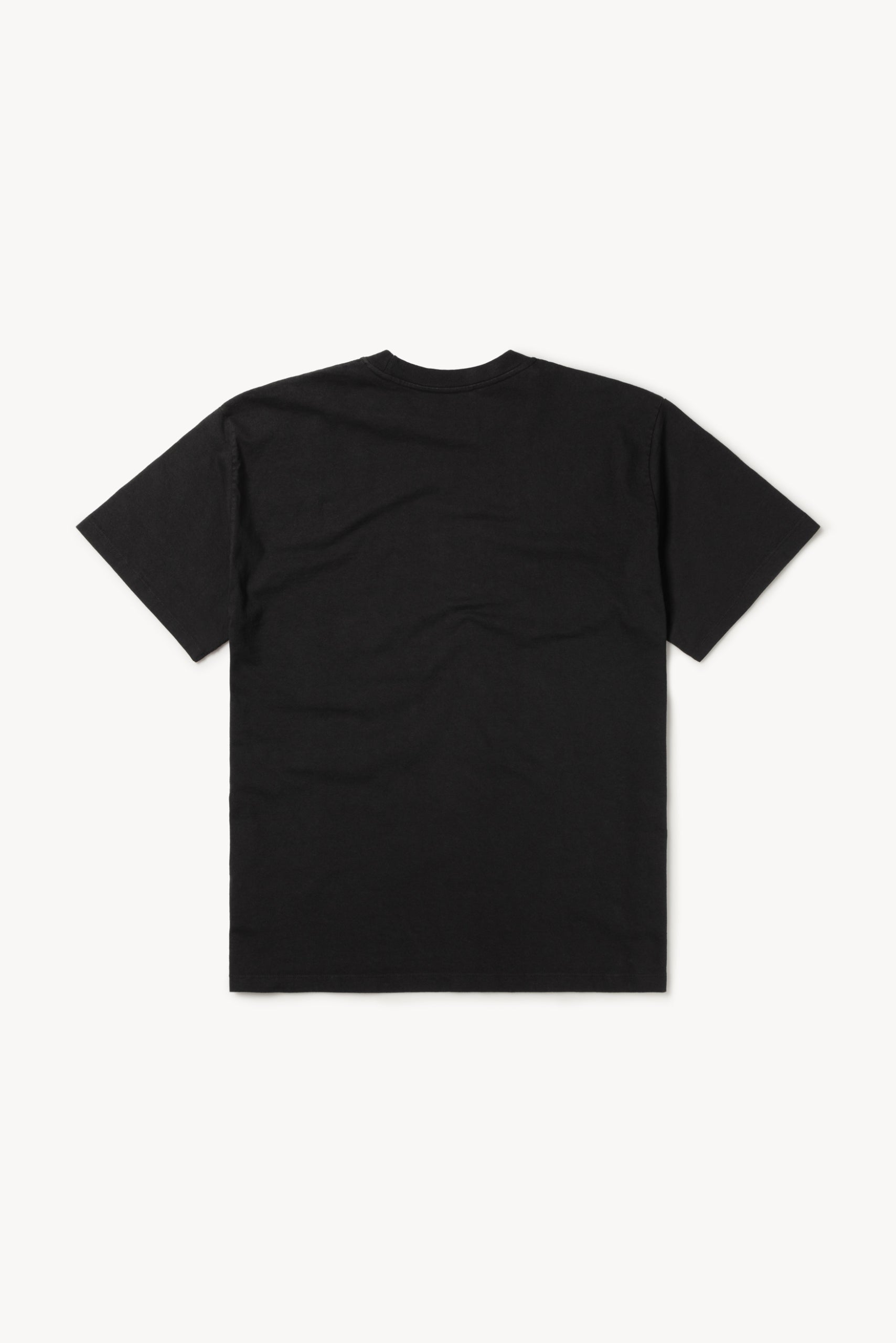 Load image into Gallery viewer, Scan Temple SS Tee