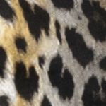 Leopard Denim Mini Dress